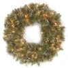National Tree Company, Pre-Lit Artificial Christmas Wreath, Glittery Bristle Pine With Twinkly LED Lights, Plug In, 30 In
