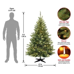 6' Unlit Kincaid Spruce Artificial Christmas Tree Clear Lights - National Tree Company -National Tree Company Store GUEST 15db00e7 fec5 46ef 8f16 42d30df03d5b