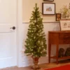 National Tree Company 5' Montclair Spruce Artificial Pencil Christmas Tree 100ct Clear