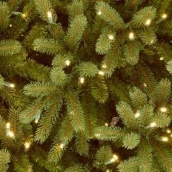 National Tree Company Pre-lit Jersey Frasier Fir Artificial Christmas Tree With Clear Lights -National Tree Company Store GUEST 4ddea35a d1ef 4d6d a026 9827d4e4f94a