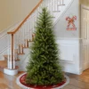 National Tree Company 6.5ft National Christmas Tree Company Dunhill Fir Artificial Christmas Tree: Slim Profile, Indoor, PVC Material, Includes Stand
