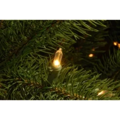 National Tree Company Pre-lit Feel Real Downswept Douglas Fir Artificial Christmas Tree With Dual Color LED Lights -National Tree Company Store GUEST 8ddcb81d 081b 4db3 b915 00ebd146fc66