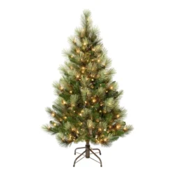 National Tree Company First Traditions Pre-Lit Charleston Pine Hinged Artificial Christmas Tree Clear Lights -National Tree Company Store GUEST a25d929f 1421 4195 8077 6f4796d8337f