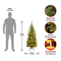 Pencil Slim Kingswood Fir Artificial Christmas Tree Clear Lights - National Tree Company 6 Pencil Slim Kingswood Fir Artificial Christmas Tree Clear Lights - National Tree Company -National Tree Company Store GUEST a827d3be 2cf4 4668 ba59 e1ae09d21b2a