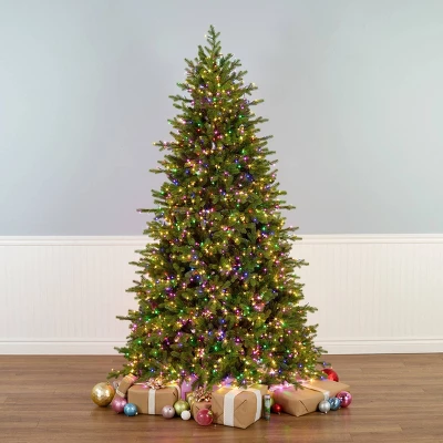 National Tree Company Pre-lit Feel Real Full Princeton Fraser Fir Artificial Christmas Tree With Dual Color LED Lights 3 National Tree Company Pre-lit Feel Real Full Princeton Fraser Fir Artificial Christmas Tree With Dual Color LED Lights - Image 3