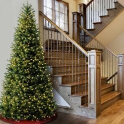 National Tree Company 10' Pre-lit Full Natural Fraser Fir Artificial Christmas Tree With Clear Lights -National Tree Company Store GUEST bfa8369b f7ea 47c3 a784 8f2de707baea