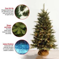 4' Prelit Evergreen Artificial Christmas Tree In Burlap Bag Clear Lights - National Tree Company -National Tree Company Store GUEST c3569ce6 18a4 4e7e b81a 304aae871fff