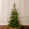 7.5' Unlit Norwegian Spruce Artificial Christmas Tree - National Tree Company