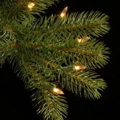 National Tree Company Pre-lit Feel Real Downswept Douglas Fir Artificial Christmas Tree With Dual Color LED Lights -National Tree Company Store GUEST e7358a38 549e 45bb a3a3 8ebc974fcec9