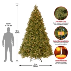 National Tree Company Pre-lit Feel Real Downswept Douglas Fir Artificial Christmas Tree With Dual Color LED Lights -National Tree Company Store GUEST eff13f6c b559 4cd8 8688 bc13bddb757e