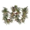 National Tree Company 9 Ft. HGTV Home Collection Pre-Lit Cozy Winter Garland
