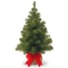 National Tree Company 2 Ft Noble Spruce Tree