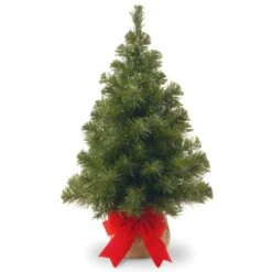 National Tree Company 2 Ft Noble Spruce Tree