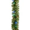 National Tree Company Pre-Lit Artificial Christmas Garland, Green, Norwood Fir, Multicolor Lights, Plug In, Christmas Collection, 9 Feet