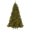 National Tree Company Pre-Lit Artificial Christmas Tree, PowerConnect North Valley Spruce With Light Parade LED Lights, Plug In, 7.5 Ft