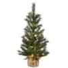 National Tree Company Pre-Lit Artificial Christmas Tree, Green, Frosted Ontario Pine, White LED Lights, Includes Cloth Bag Base, Battery Operated, 3 Feet