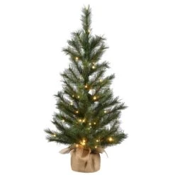 National Tree Company Pre-Lit Artificial Christmas Tree, Green, Frosted Ontario Pine, White LED Lights, Includes Cloth Bag Base, Battery Operated, 3 Feet