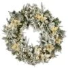 National Tree Company 30" Frosted Colonial Fir Wreath With Dual Color® LED Cosmic Lights®
