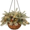 National Tree Company Pre-Lit 'Feel Real' Artificial Christmas Hanging Basket, Arctic Spruce, Decorated With Frosted Pine Cones, White Lights, Christmas Collection, 20 Inches