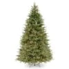 National Tree Company Pre-Lit 'Feel Real' Artificial Slim Christmas Tree, Green, Frasier Grande, White Lights, Includes Stand, 9 Feet