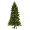 National Tree Company 75 Ft Green River Spruce Slim Tree With Dual Color® LED Lights