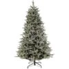 National Tree Company 6.5 Ft Holliston Tree With Dual Color® LED Cosmic Lights®
