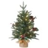 National Tree Company Pre-Lit Artificial Christmas Tree, Happy Hill Pine, With Warm White LED Lights, Plug In, 2 Ft