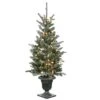 National Tree Company 4 Ft Snowy Morgan Spruce Entrance Tree With Clear Lights