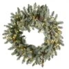 National Tree Company Pre-Lit Artificial Christmas Wreath, Green, Snowy Morgan Spruce, Dual Color LED Lights, Decorated With Pine Cones, Christmas Collection, 24 Inches