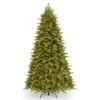 National Tree Company Pre-Lit 'Feel Real' Artificial Full Christmas Tree, Green, Princeton Fraser Fir, Dual Color LED Lights, Includes PowerConnect And Stand, 9 Feet