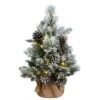 National Tree Company 2 Ft Snowy Redmond Pine With Battery Operated LED Lights