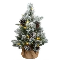 National Tree Company 2 Ft Snowy Redmond Pine With Battery Operated LED Lights