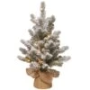 National Tree Company Pre-Lit Artificial Christmas Tree, Green, Snowy Sheffield Spruce, White LED Lights, Includes Cloth Bag Base, Battery Operated, 24 Inches