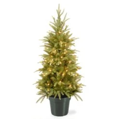 National Tree Company 4 Ft Weeping Spruce Tree With Clear Lights