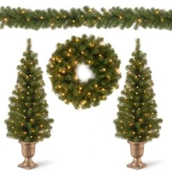 National Tree Company Pre-Lit Evergreen Assortment