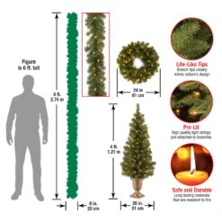 National Tree Company Pre-Lit Evergreen Assortment -National Tree Company Store PRO7 ASST 10 Dim