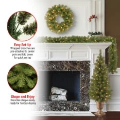 National Tree Company Pre-Lit Evergreen Assortment -National Tree Company Store PRO7 ASST 10 Features