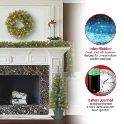 National Tree Company Promotional Assortment With Battery Operated LED Lights -National Tree Company Store PRO7 ASST 12 Features