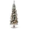 National Tree Company 4 Ft. Snowy Downswept Forestree With Clear Lights