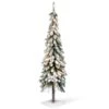 National Tree Company 5 Ft Snowy Downswept Forestree With Clear Lights