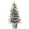 National Tree Company Pre-Lit Artificial Christmas Entrance Tree, Snowy Alpine Fir, With Warm White LED Lights, Plug In, 4.5 Ft