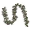 National Tree Company Pre Lit Artificial Garland, Whitter Pine, Green, Decorated With Pine Cones, Silver Berry Clusters, Warm White LED Lights, Battery Powered, Christmas Collection, 9 Feet